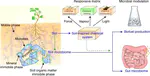 Our research paper on soil-inspired chemical system is published in Nature Chemistry!