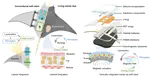 Magnetic field-enhanced vertical integration enables embodied intelligence in untethered soft robots