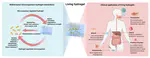 Living Hydrogels: Harnessing Microorganism-Material Synergy for Next-Generation Therapeutics