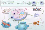 Carrier-Free Nanoassembly Suppresses Phase Separation via Ribosome-Inspired Crowding Control for Enhanced Chemo-Immunotherapy