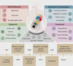 Review of Gastrointestinal Capsule Robots: Materials, Actuation, Diagnostics, and Therapeutics