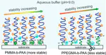 Enhanced Stability of Surface-Tethered Diblock Copolymer Brushes with a Neutral Polymer Block and a Weak Polyelectrolyte Block. Effects of Molecular Weight and Hydrophobicity of the Neutral Block