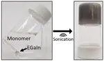 Liquid Metal Nanoparticles as Initiators for Radical Polymerization of Vinyl Monomers