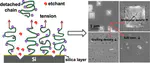 Mechanochemical Degrafting of a Surface-Tethered Poly(Acrylic Acid) Brush Promoted Etching of Its Underlying Silicon Substrate.