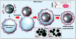 Sonication-Enabled Rapid Production of Stable Liquid Metal Nanoparticles Grafted with Poly(1-Octadecene- Alt -Maleic Anhydride) in Aqueous Solutions