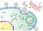 Transformable Liquid-Metal Nanomedicine